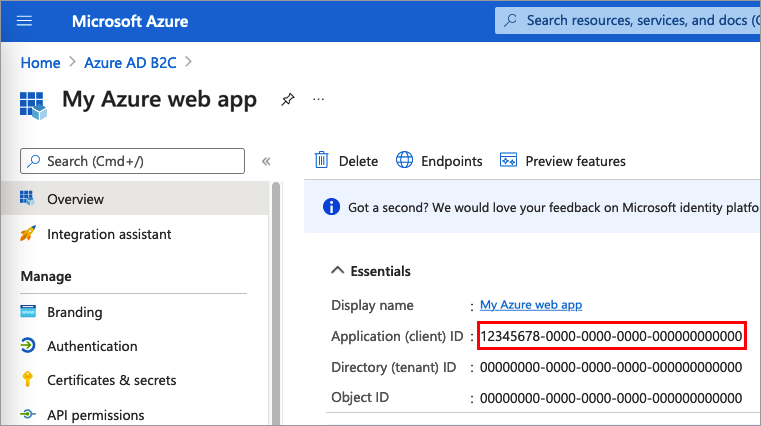 Screenshot of the web app Overview page for recording your web application I D.
