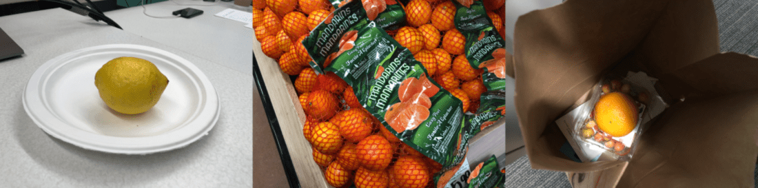 Zdjęcie próbek tła.