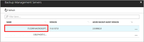 Zrzut ekranu przedstawiający szczegóły serwera.