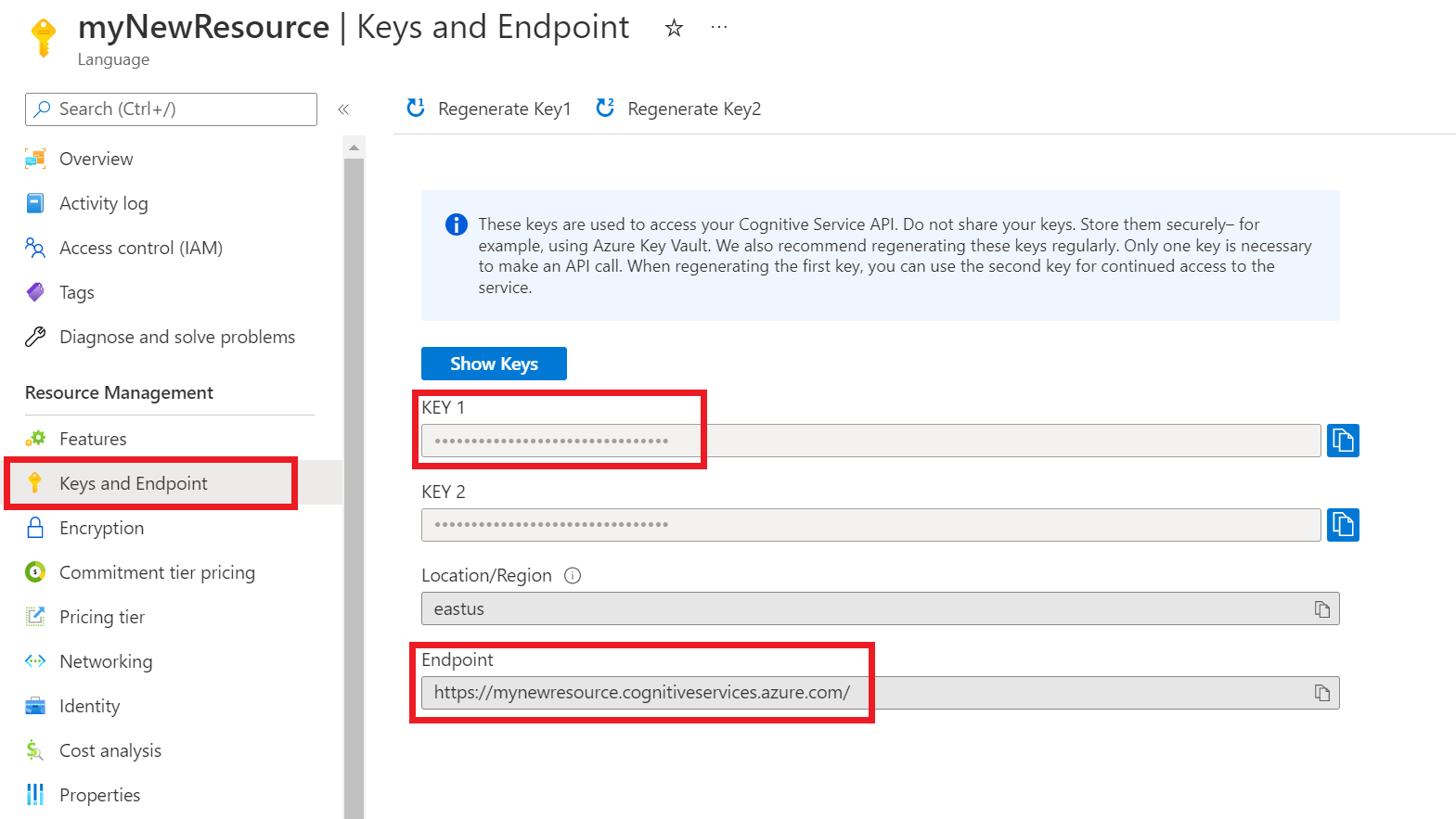 Zrzut ekranu przedstawiający stronę klucza i punktu końcowego w Azure Portal