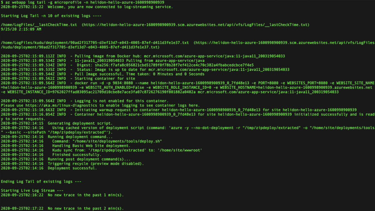 Zrzut ekranu przedstawiający okno terminalu z danymi wyjściowymi dziennika.