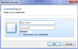Basic authentication dialog credential modal box