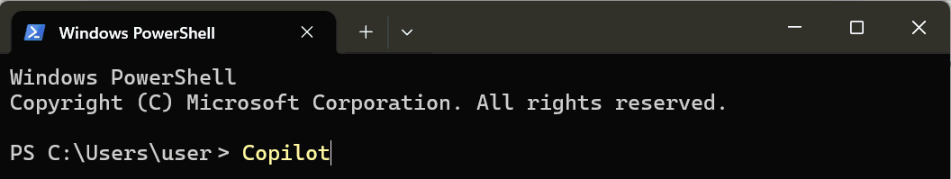 Zrzut ekranu terminala Windows PowerShell.