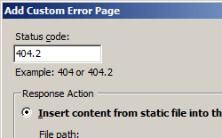 Screenshot that shows the Add Custom Error Page.