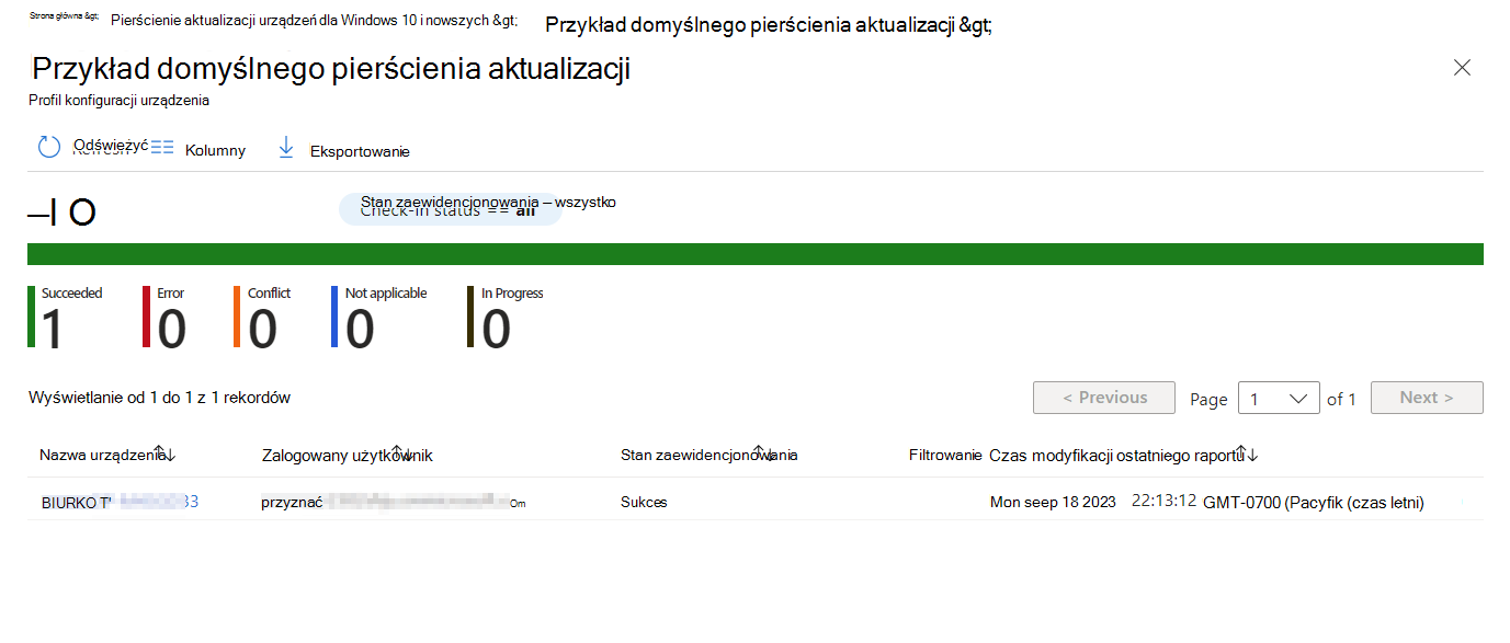 Zrzut ekranu przedstawiający szczegóły dostępne w akcji Wyświetl raport.