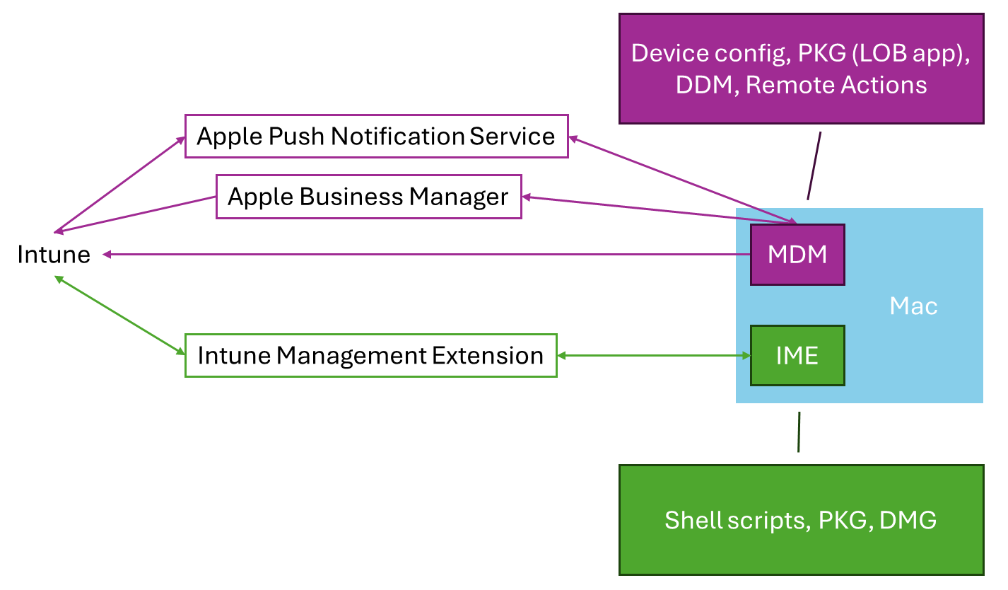 Diagram przedstawiający sposób współdziałania zarządzania urządzeniami przenośnymi z systemem macOS i rozszerzeniem zarządzania usługi Intune w celu obsługi zarządzania urządzeniami z systemem macOS przy użyciu usługi Microsoft Intune