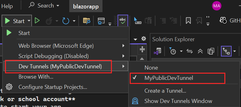 Screenshot shows how to select dev tunnel.