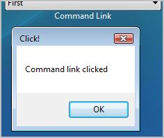 Rys. 4. Zdefiniowane akcje wywołane po kliknięciu „Command Link”.