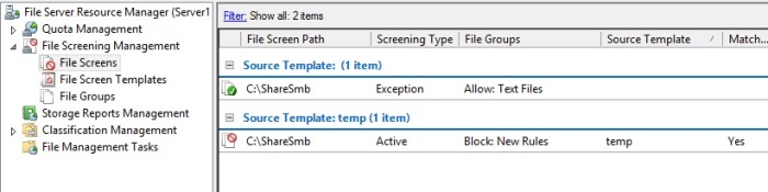 Widok sekcji File Screen po utworzeniu dwóch reguł