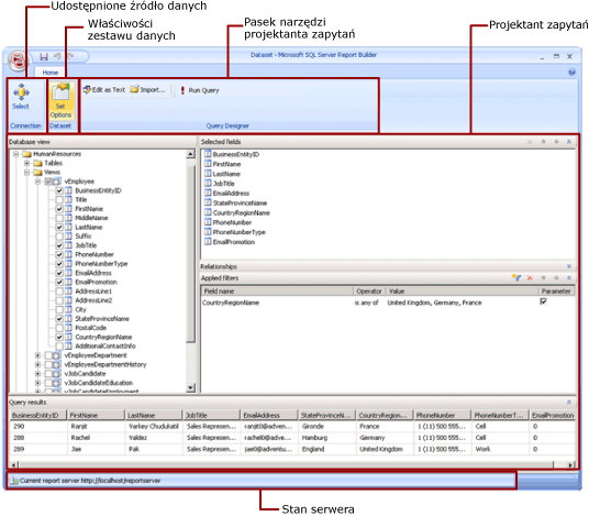 Widok projektu udostępnionego zestawu danych w programie Report Builder