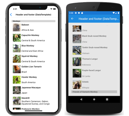 Zrzut ekranu przedstawiający nagłówek i stopkę CollectionView przy użyciu szablonów w systemach iOS i Android