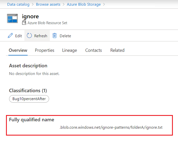 Screenshot showing the fully qualified name on an asset's overview tab.