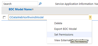 Choosing permissions for BDC model