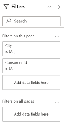 Zrzut ekranu przedstawia okienka Filtr, które zapewniają dużą kontrolę nad projektem i funkcjonalnością filtru raportu.