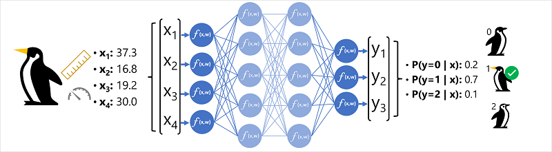 Diagram sieci neuronowej używanej do klasyfikowania gatunków pingwinów.