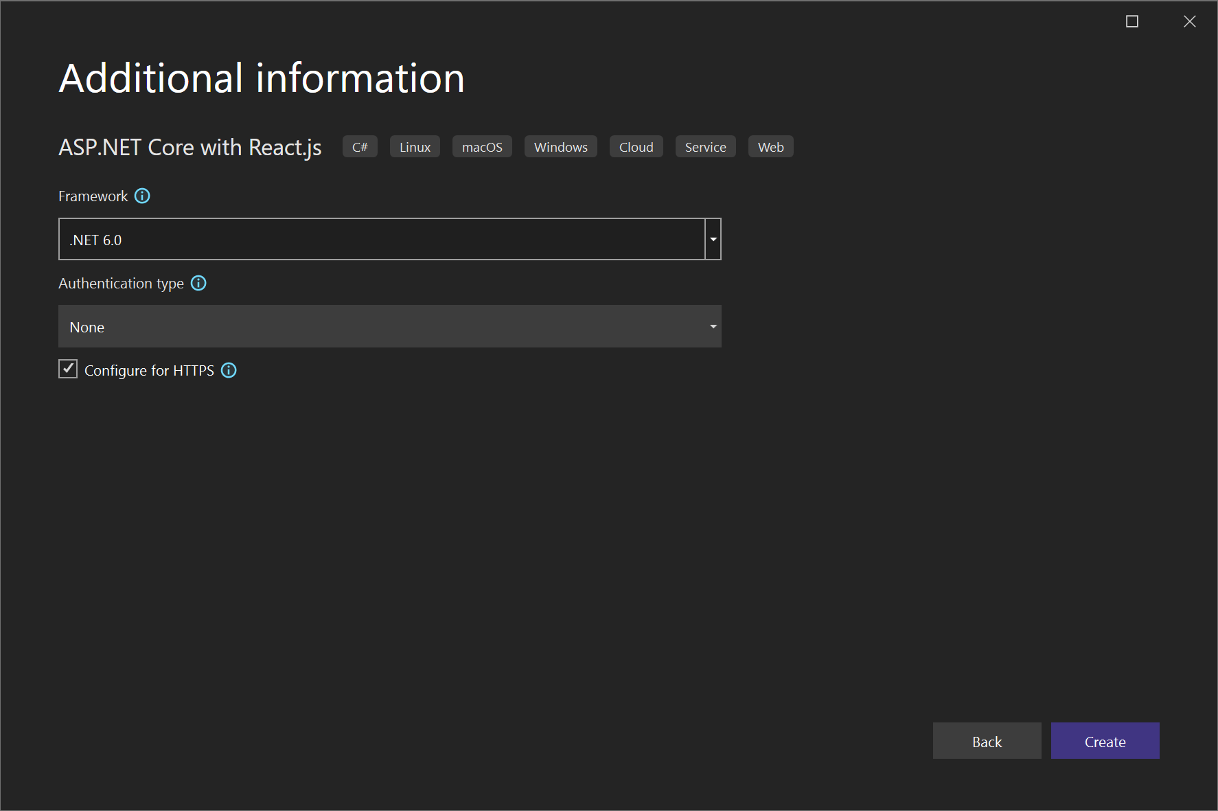 Zrzut ekranu przedstawiający tworzenie nowego projektu React.js — ekran Dodatkowe informacje.