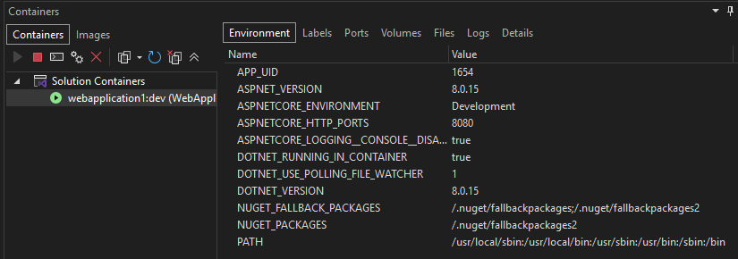 Zrzut ekranu przedstawiający okno Kontenery w programie Visual Studio z kontenerem wybranym w okienku po lewej stronie i kartą Środowisko wybraną w okienku po prawej stronie.