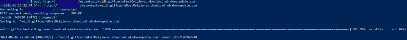 Screenshot of the terminal output of successful test result with wget command to validate a Microsoft Connected Cache.