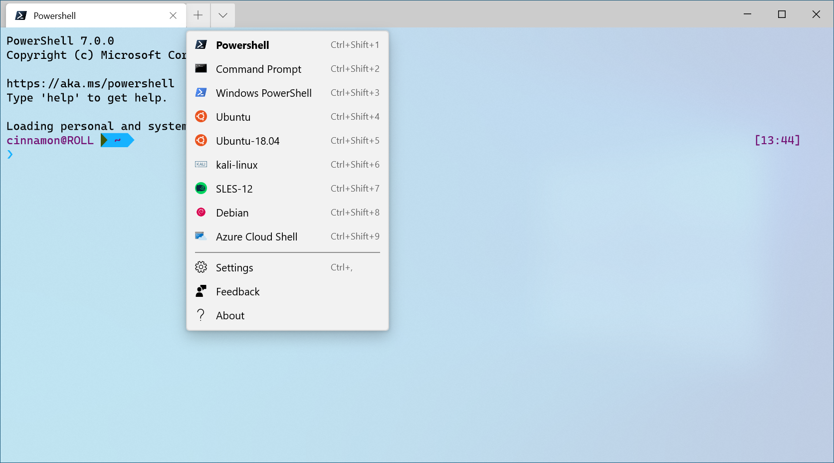 profilów dynamicznych terminalu systemu Windows