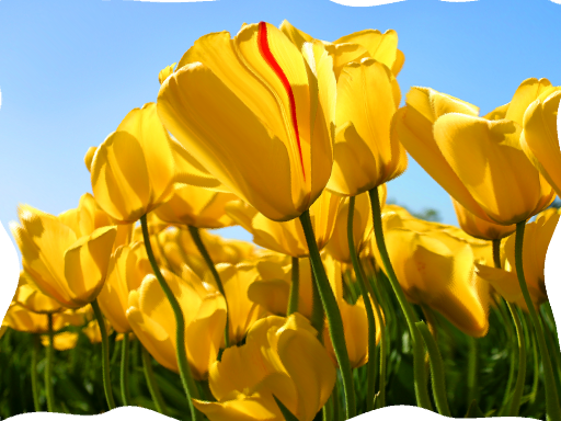 obraz po przekształceniu.