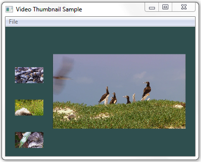 screen shot of the video thumbnail sample 
