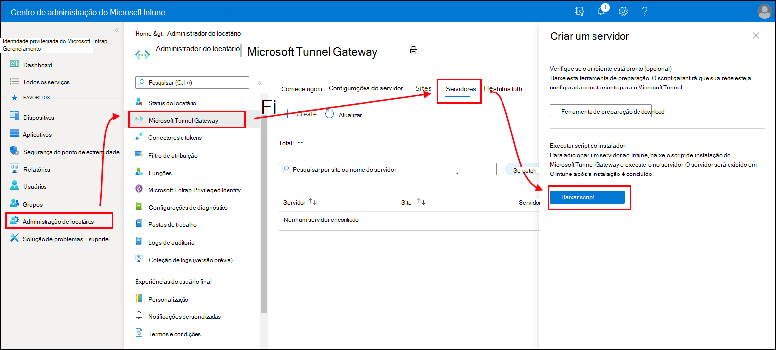 Captura de ecrã para download do script de instalação