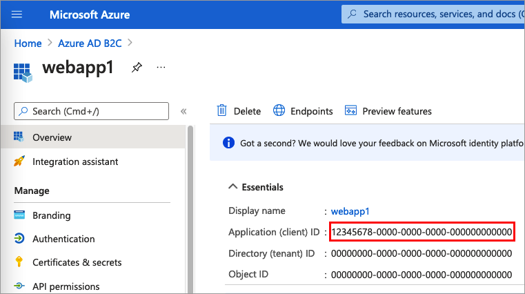 Captura de tela que mostra como obter a ID do aplicativo Angular.