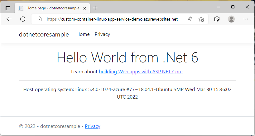 Captura de tela que mostra o aplicativo implantado.