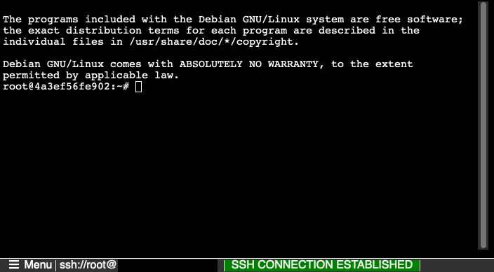 Uma captura de tela mostrando uma sessão SSH com um contêiner personalizado.