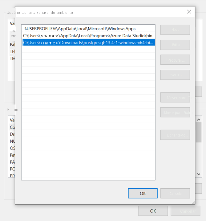 Captura de tela que mostra as variáveis de ambiente que você precisa definir.