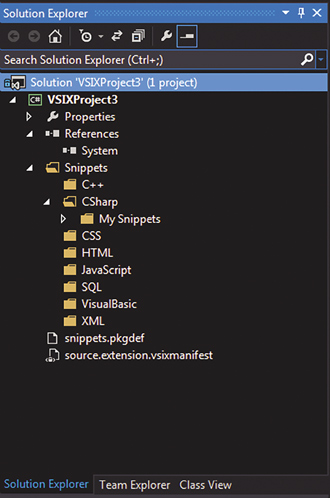 As pastas mostradas aqui são reconhecidas automaticamente pelo Visual Studio