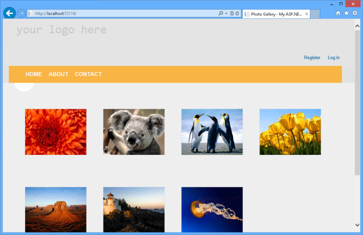Visualização da área de trabalho do PhotoGallery Visualização da área de trabalho do PhotoGallery