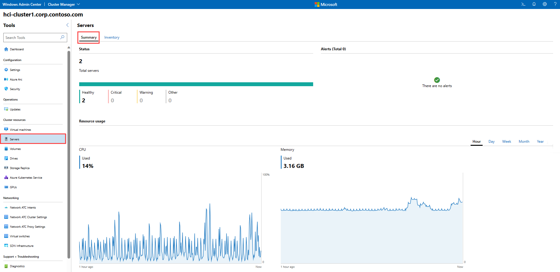 Captura de tela da guia de resumo dos servidores.