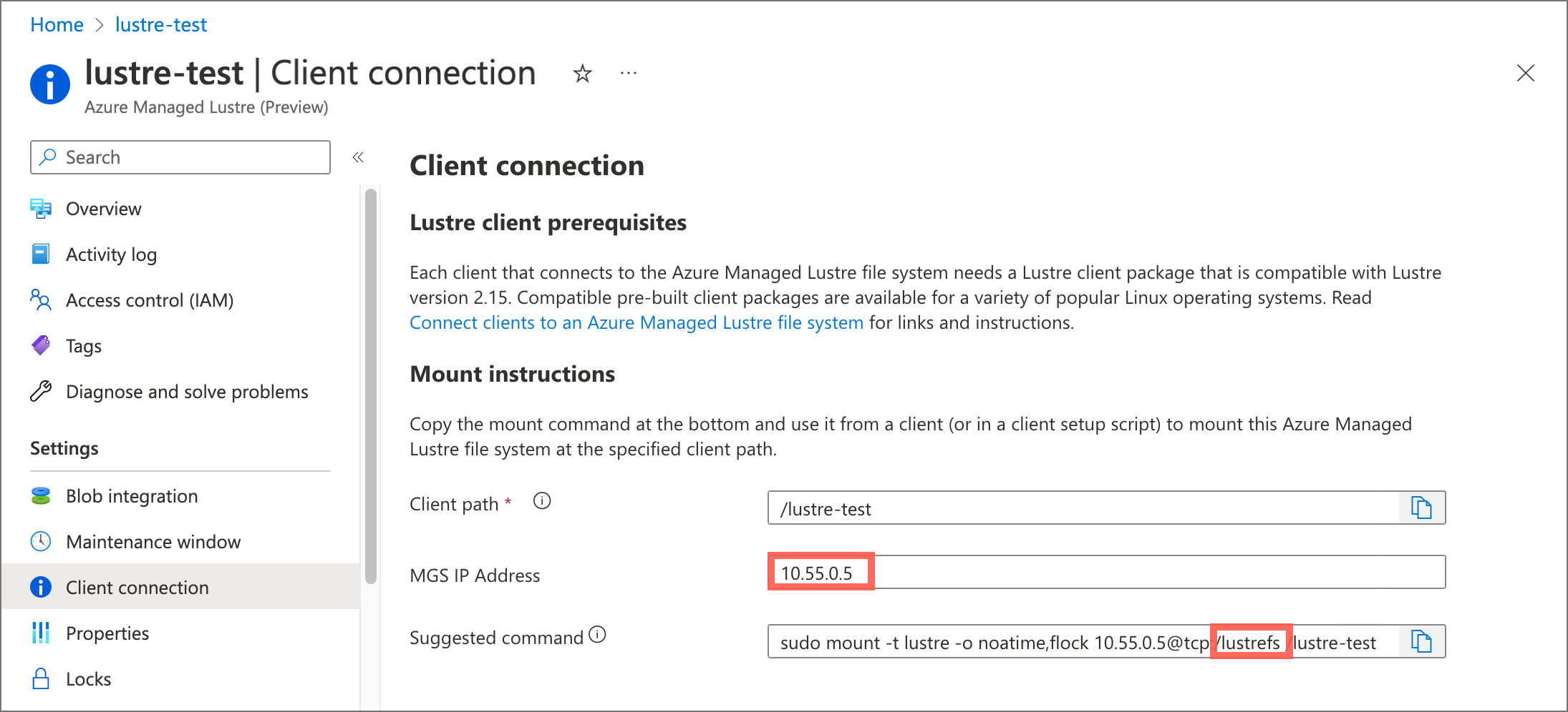 Captura de tela da página conexão do cliente portal do Azure. O endereço IP do MGS e o nome 