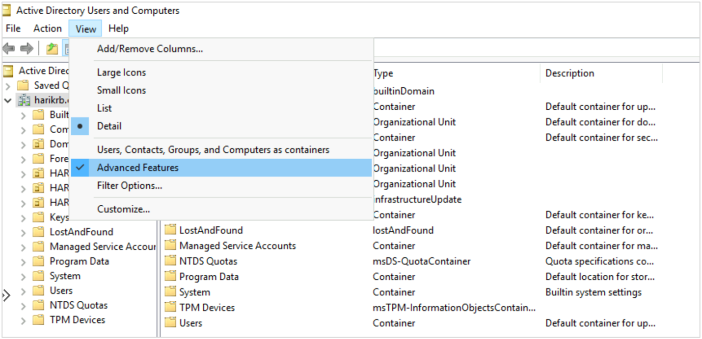 Captura de tela que mostra como acessar o menu Recursos Avançados do Editor de Atributos.