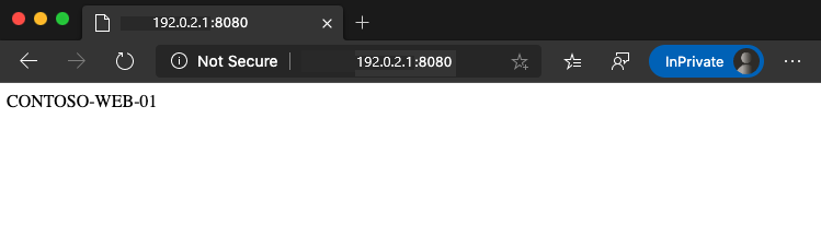 Screenshot of browser page showing successful test of the configuration.