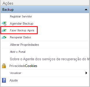 Captura de tela que mostra como selecionar Fazer Backup Agora.