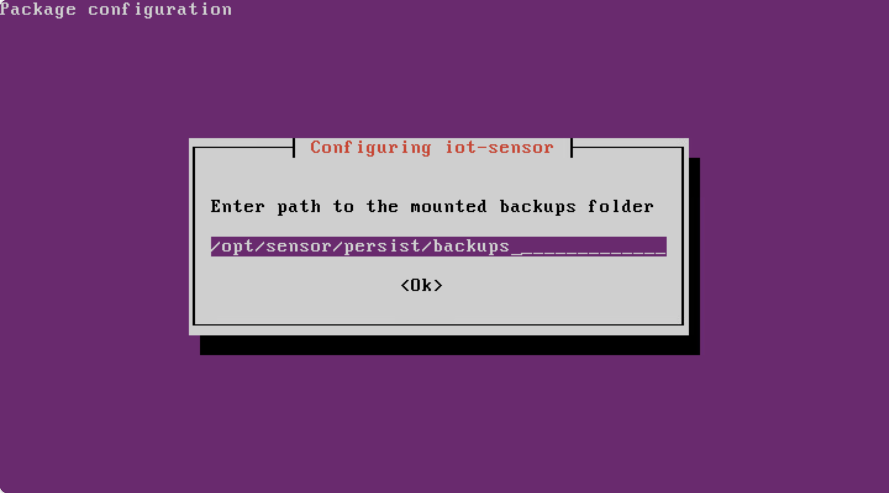 Captura de tela da configuração da pasta de backups montados.