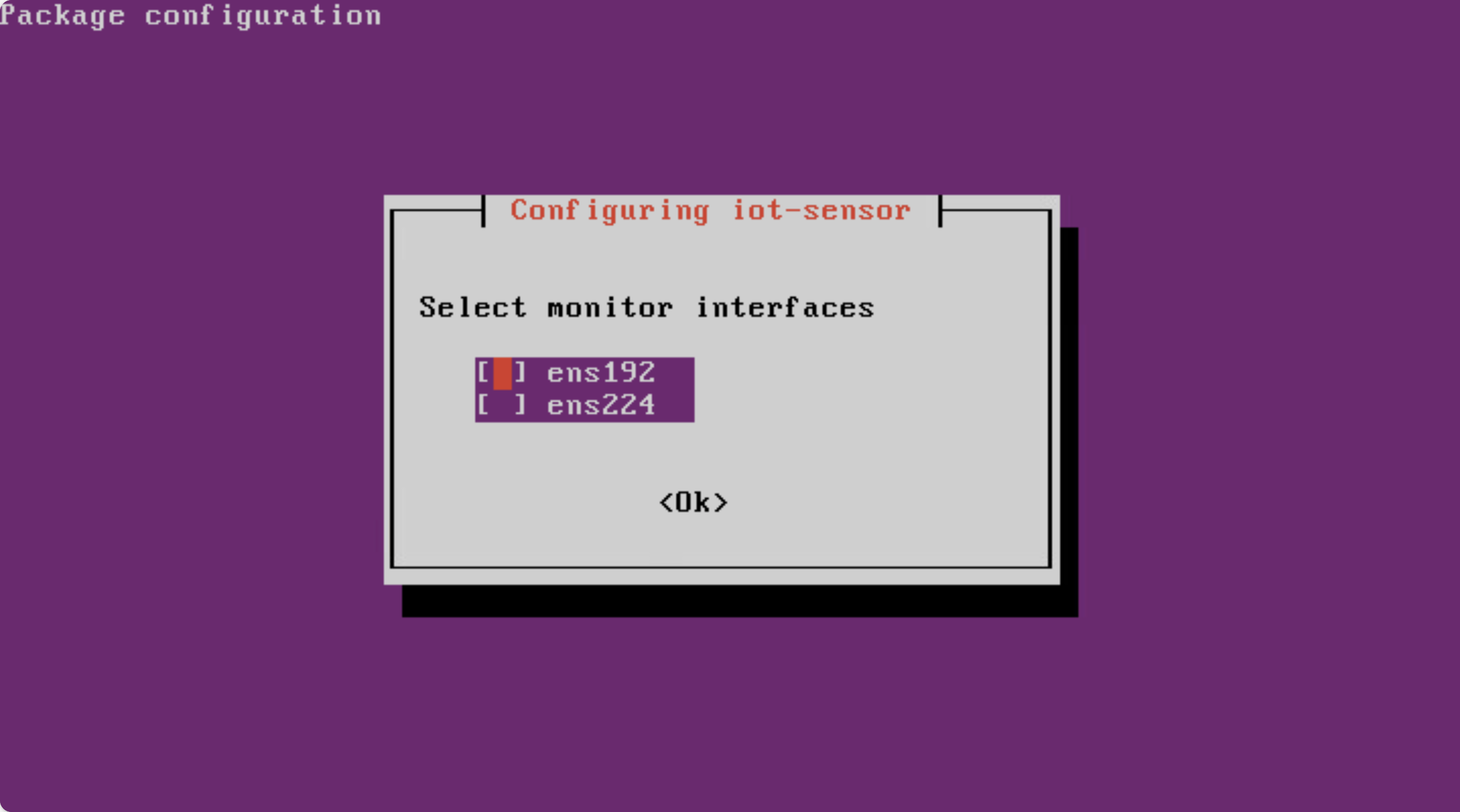 Captura de tela da tela Selecionar interfaces de monitor.