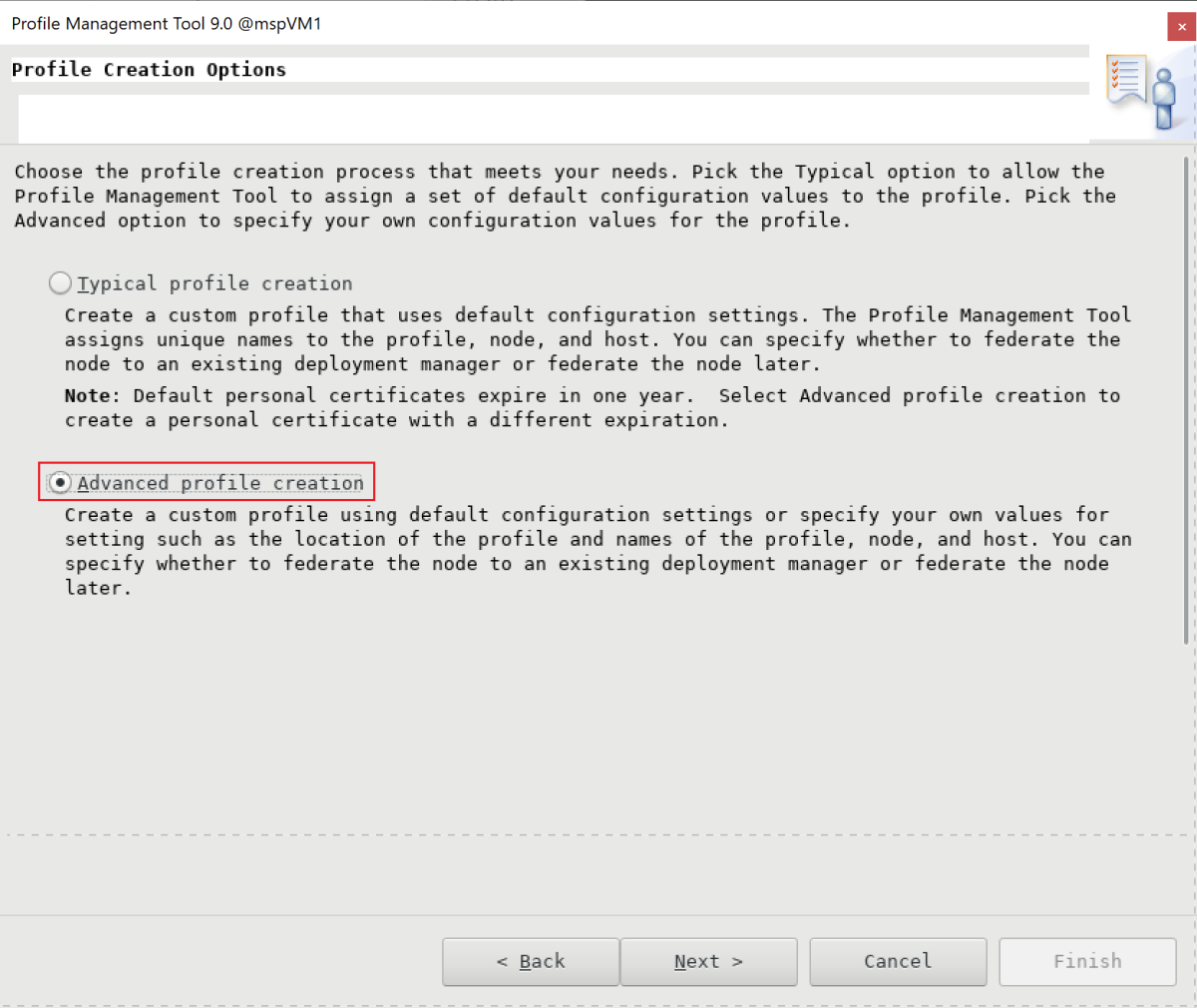 Captura de tela do painel Opções de criação de perfil do Profile Management Tool da IBM.