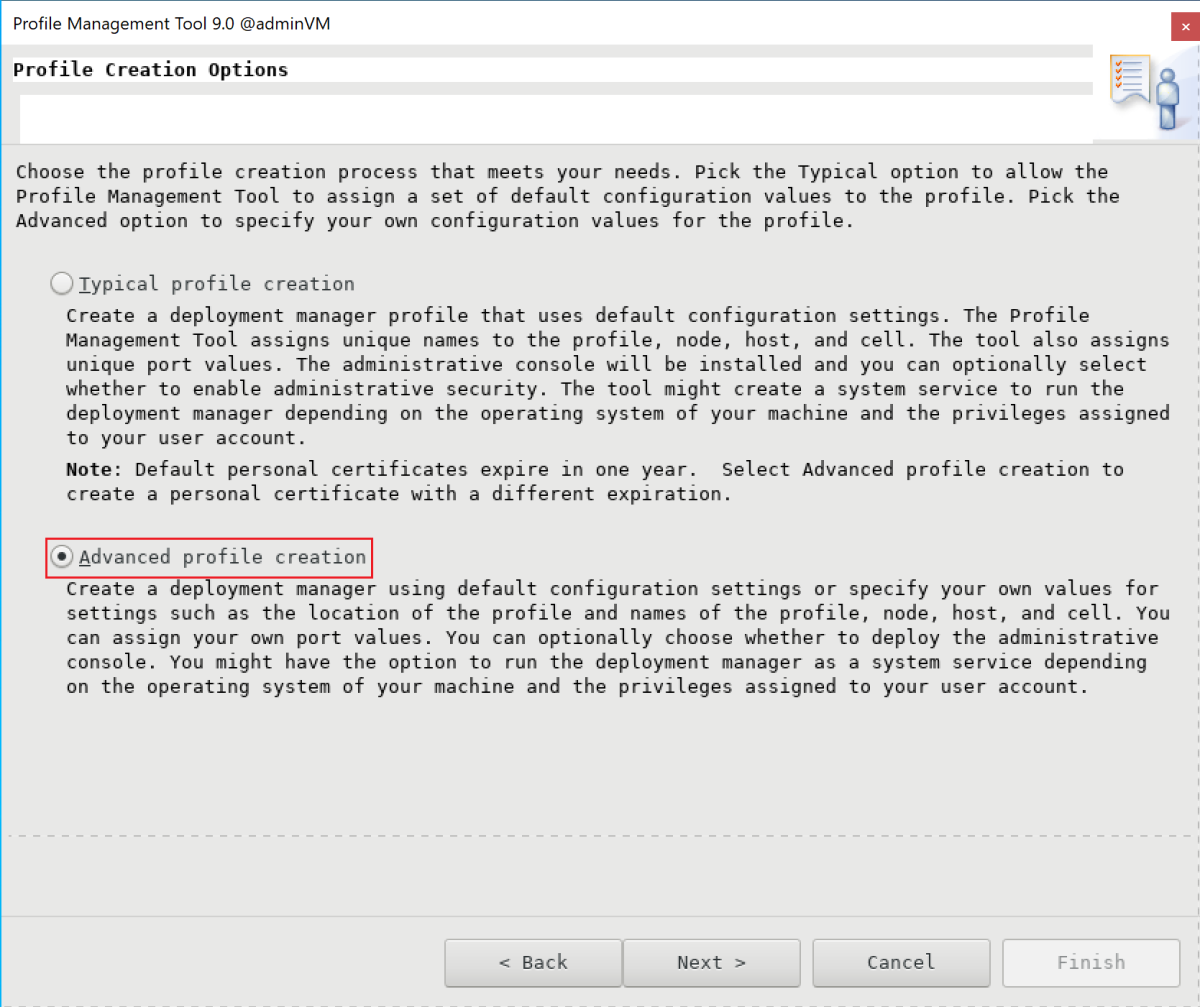 Captura de tela do painel Opções de criação de perfil no Profile Management Tool da IBM.