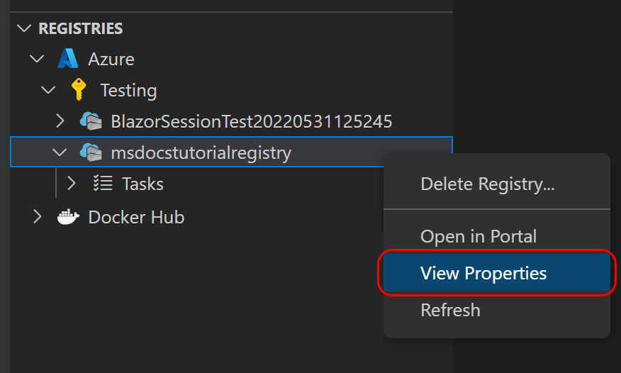 Uma captura de tela mostrando como obter as propriedades de um registro no Visual Studio Code.