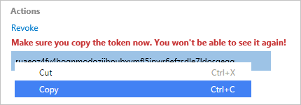 Captura de tela mostrando o token criado.