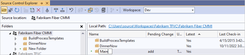 Captura de tela que mostra a renomeação da nova pasta no Source Control Explorer.