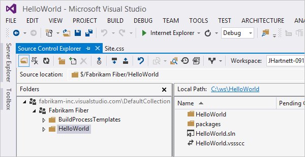 Captura de tela que mostra a solução no Source Control Explorer.