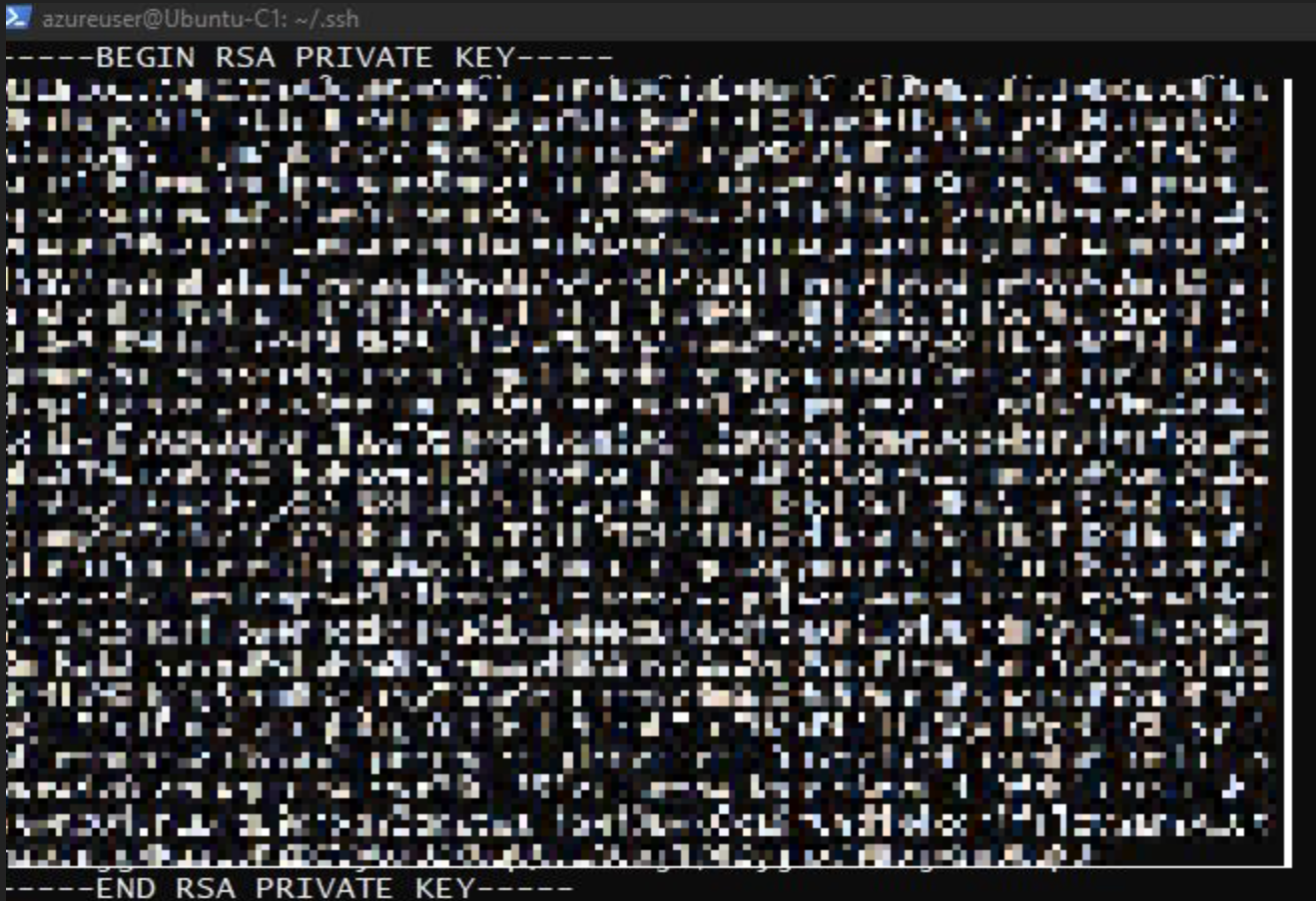 Captura de tela do formato de chave privada SSH compatível.