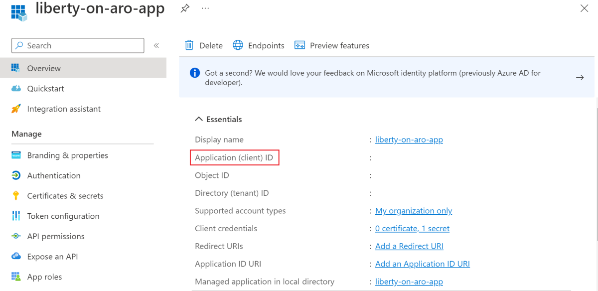Captura de tela do portal do Azure mostrando a ID do cliente da entidade de serviço.