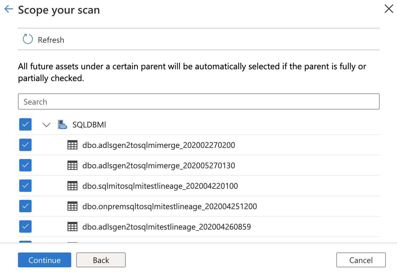 Captura de tela do escopo da janela de verificação, com um subconjunto de tabelas selecionadas para verificação.