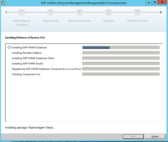 Captura de tela do Gerenciamento de ciclo de vida do SAP HANA, com indicadores de progresso da instalação.