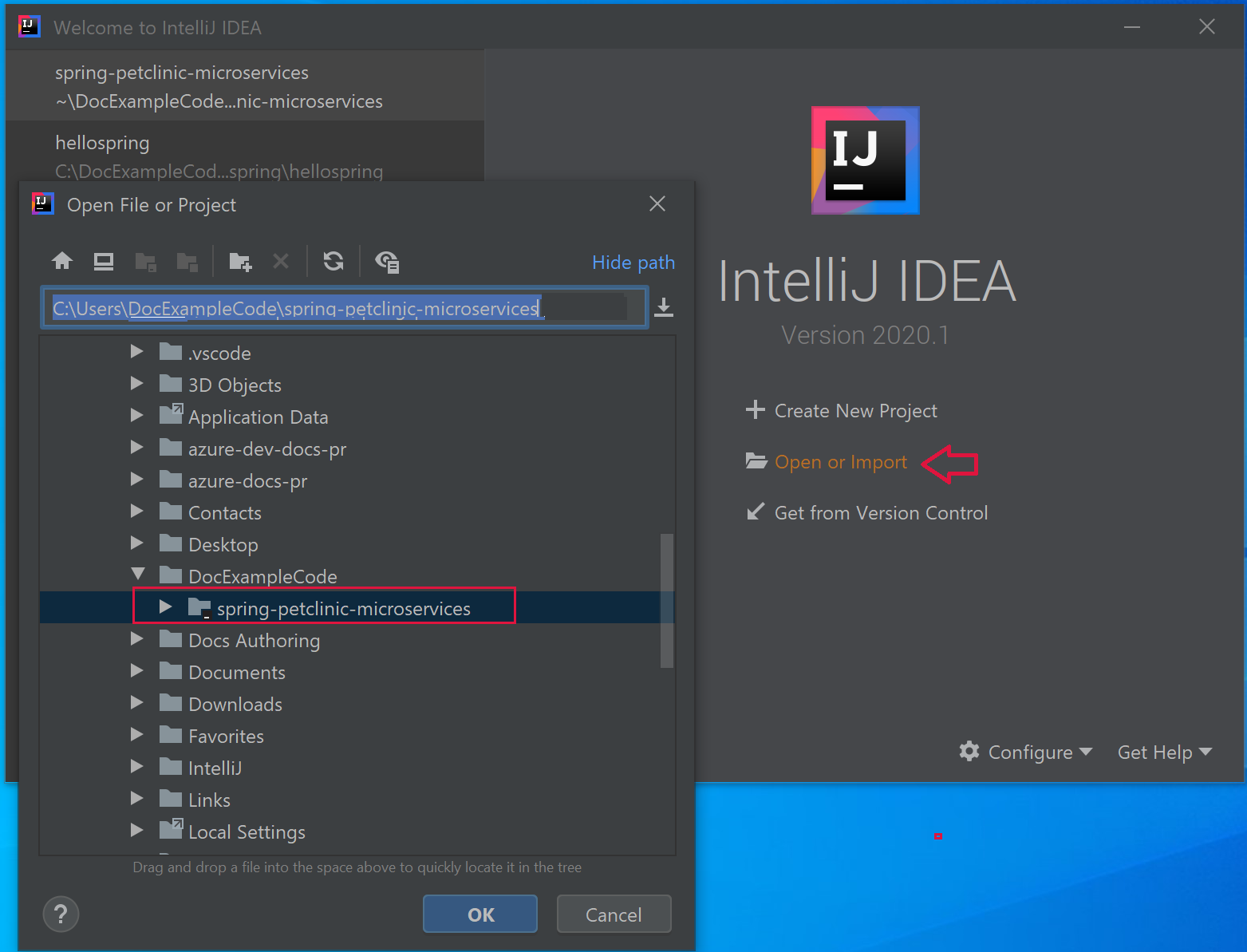 Captura de tela do assistente de importação do IntelliJ que mostra o projeto de amostra do PetClinic.